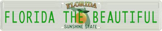 Special Florida The Beautiful license tag for promoting this site to assist the victims of the Florida hurricanes of 2004.